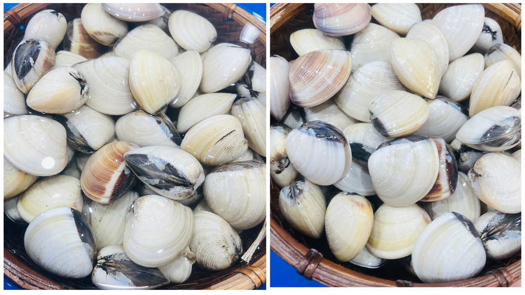 Hình ảnh sản phẩm