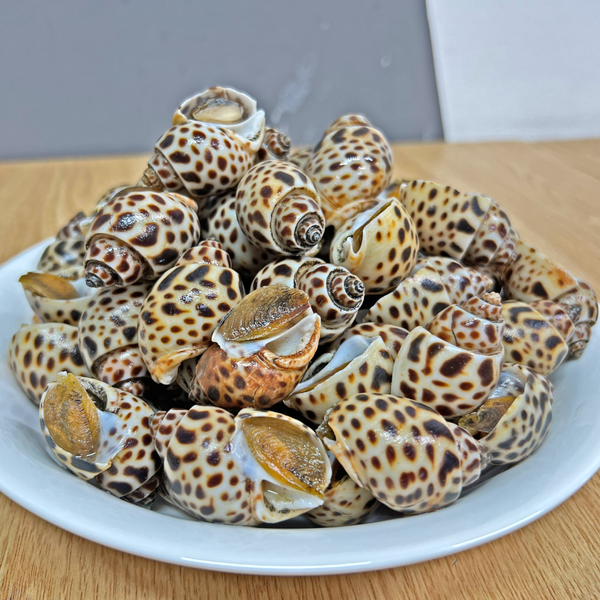 Hình ảnh sản phẩm Oc-Huong-Indonesia