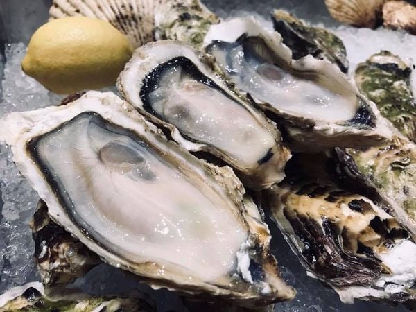 hau-nhat-leconseafoods-chuan-sashimi