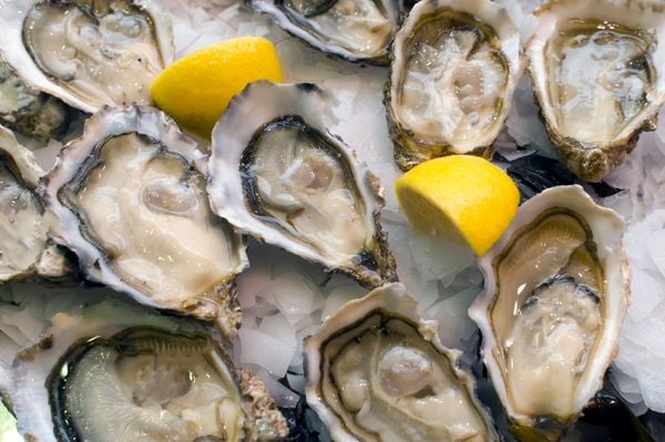 hau-nhat-chuan-sashimi-Miyagi-Oyster