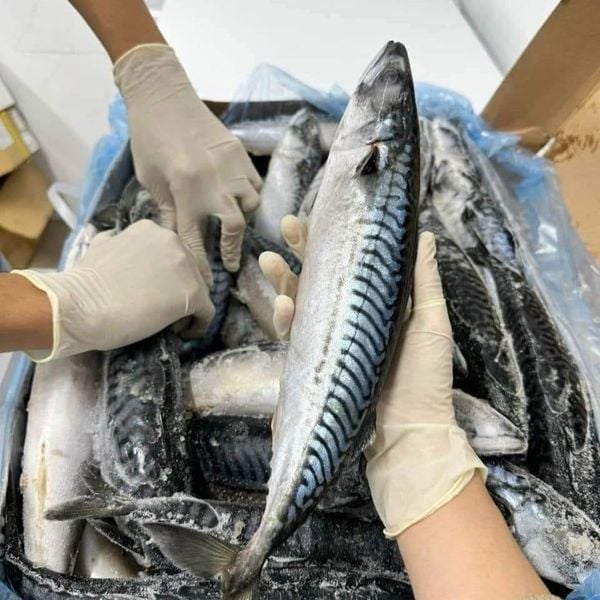 Hình ảnh sản phẩm