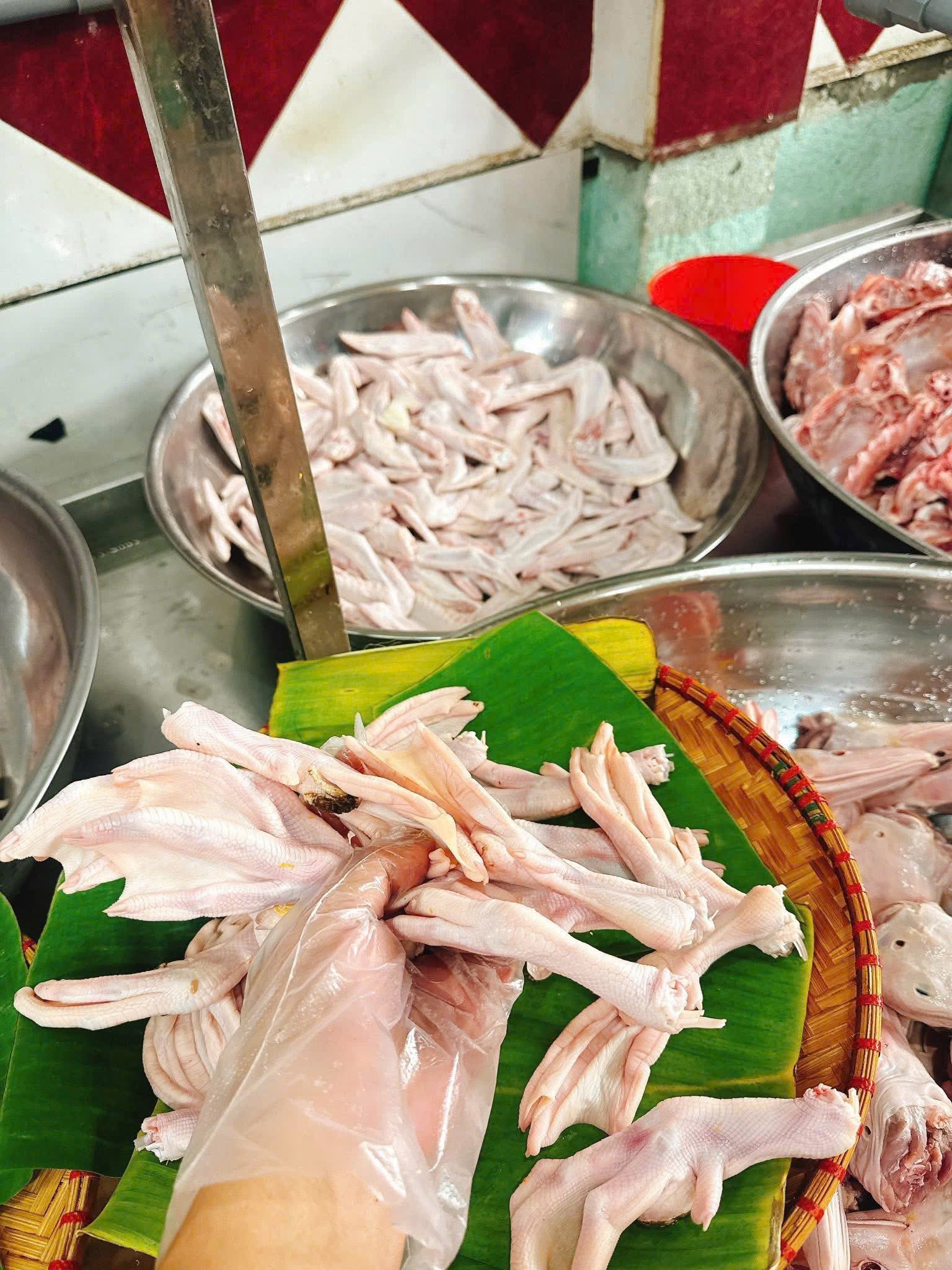 Chân vịt tươi nguyên, chân vịt cắt khúc, chân vịt đông lạnh IQF – hàng sỉ VIFOOD