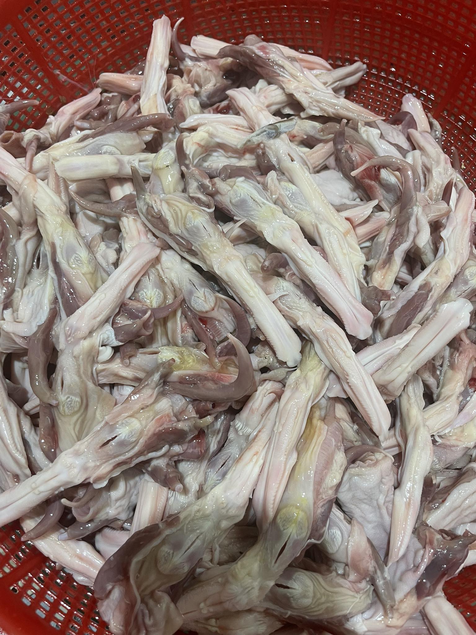 Lưỡi vịt tươi làm sạch, lưỡi vịt đông lạnh IQF, lưỡi vịt tẩm ướp – hàng sỉ VIFOOD