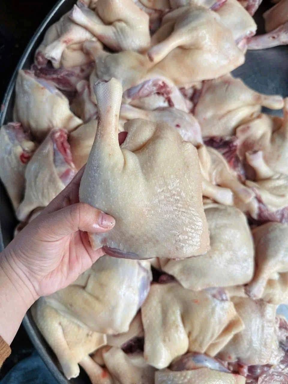 Đùi vịt góc tư tươi, IQF, tẩm ướp – hàng sỉ VIFOOD