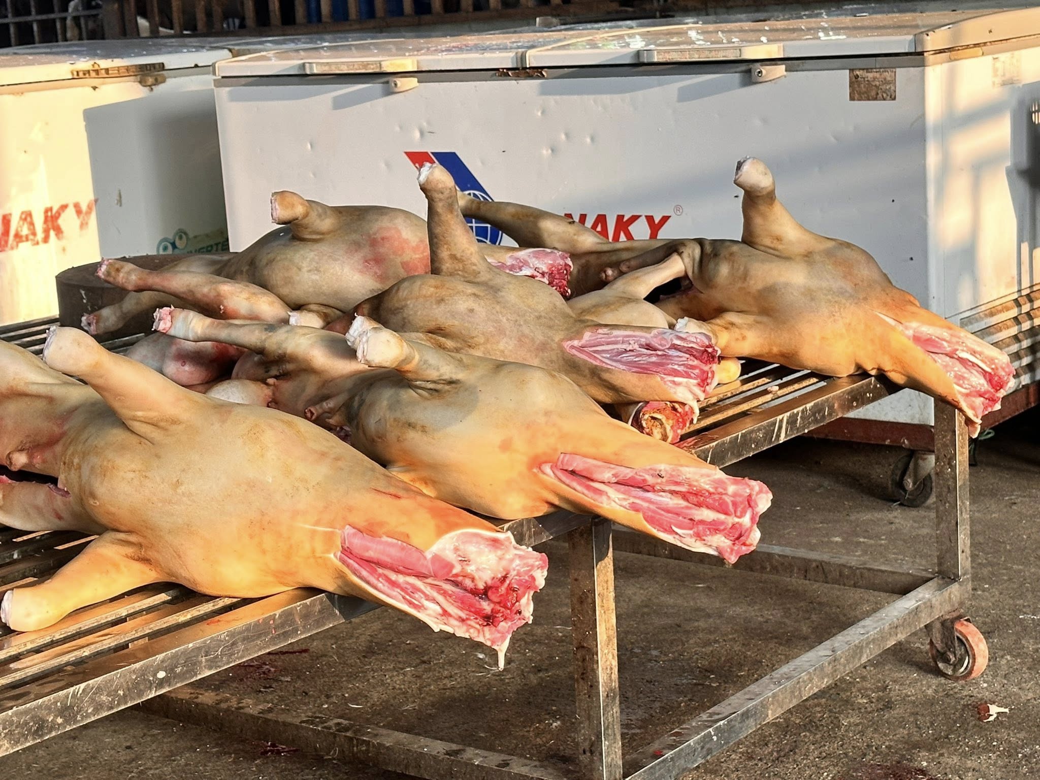 thịt dê tươi giá sỉ TP.HCM