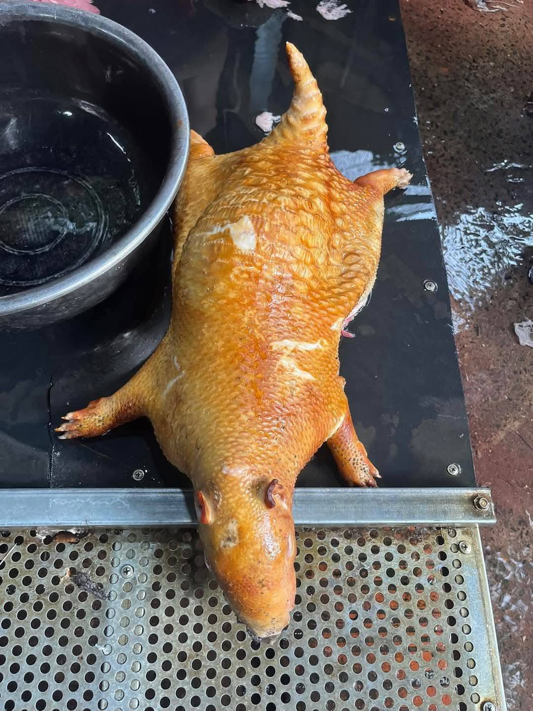 bán thịt nhím tươi giá sỉ tại TP.HCM