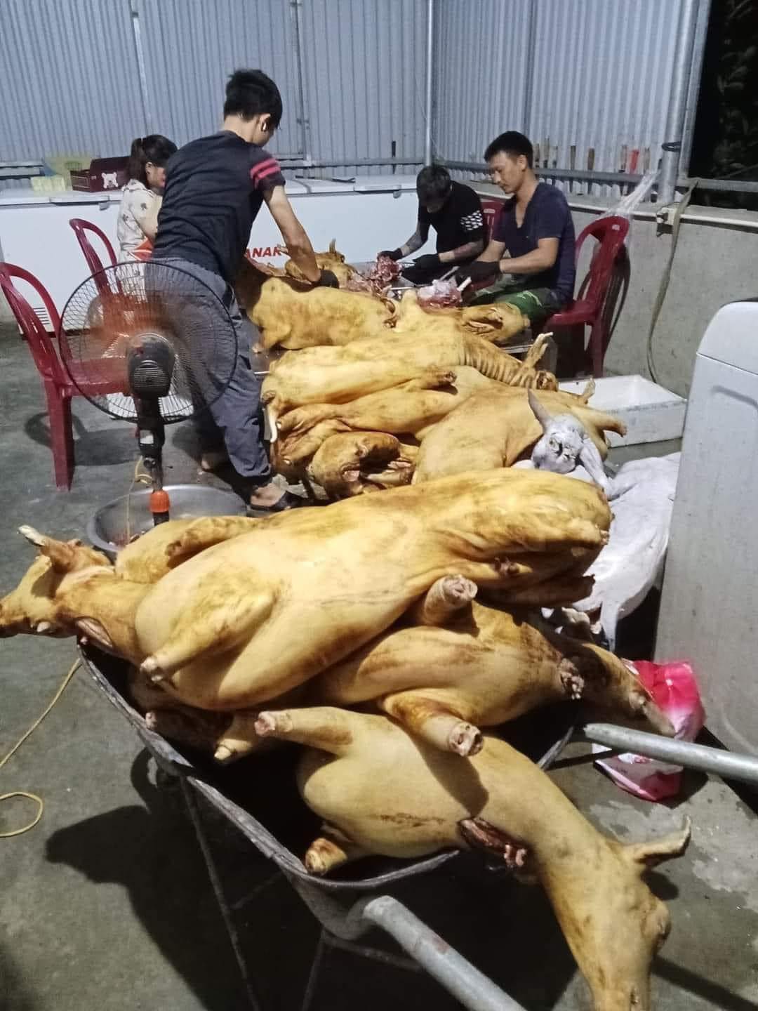 lò mổ dê tại TP.HCM