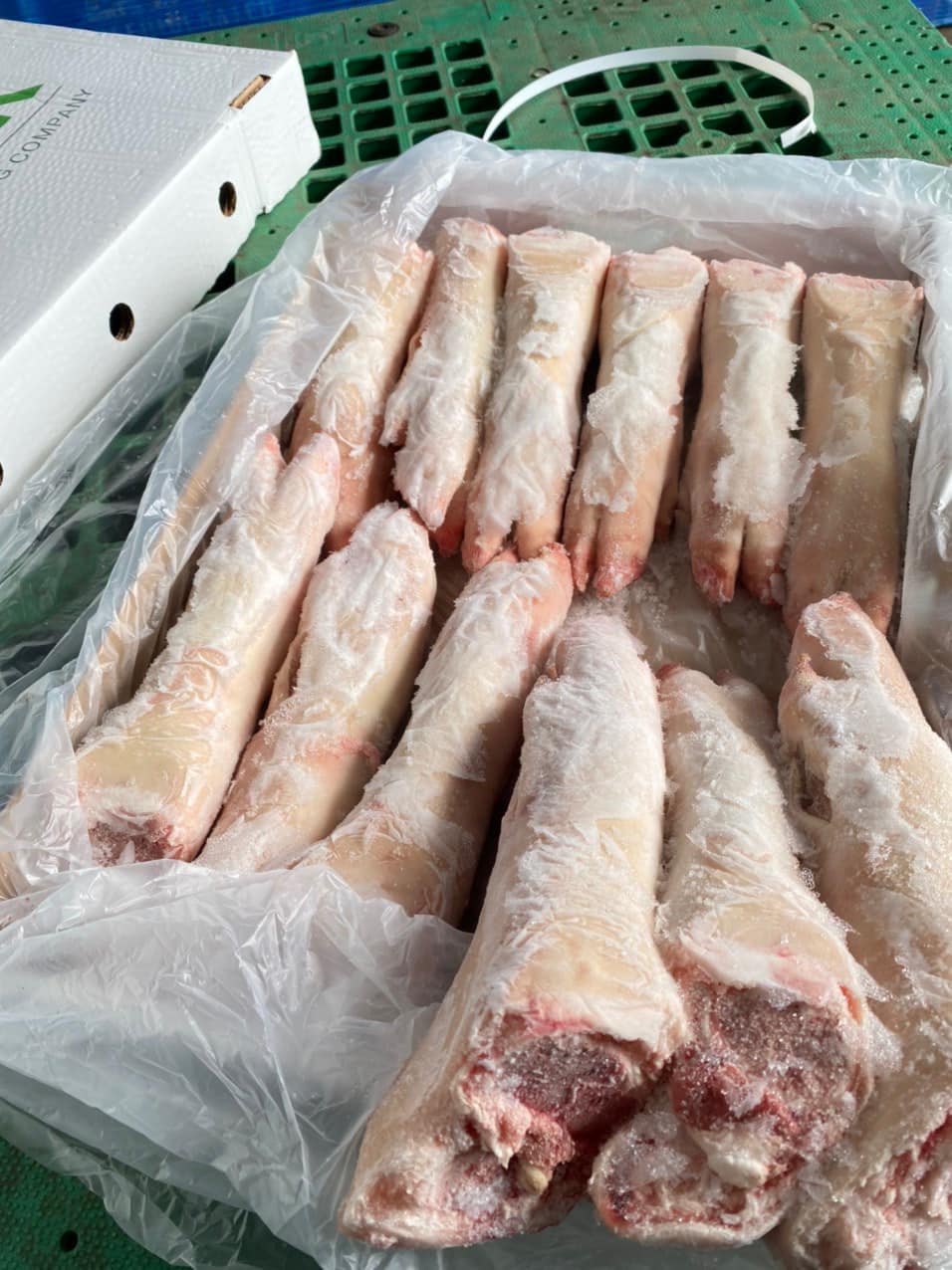 Móng heo sau đông lạnh APK nhập khẩu Nga