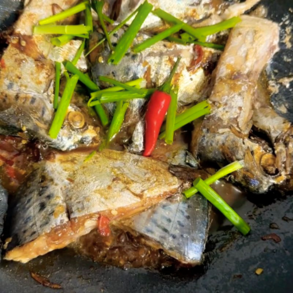 Cá Bánh lái giá sỉ 