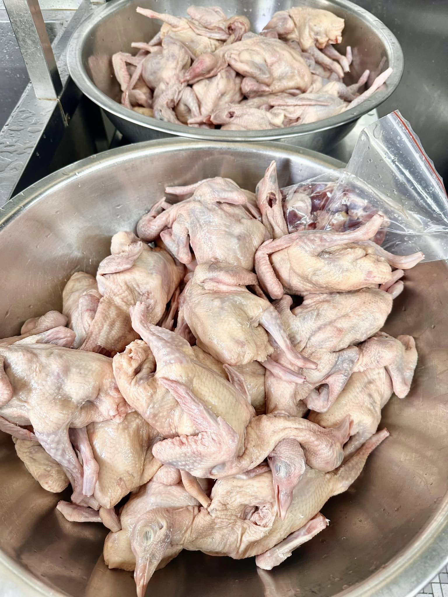 Bồ câu thịt TP.HCM, bồ câu ra ràng, bồ câu làm sạch, giá sỉ bồ câu Khosifood.