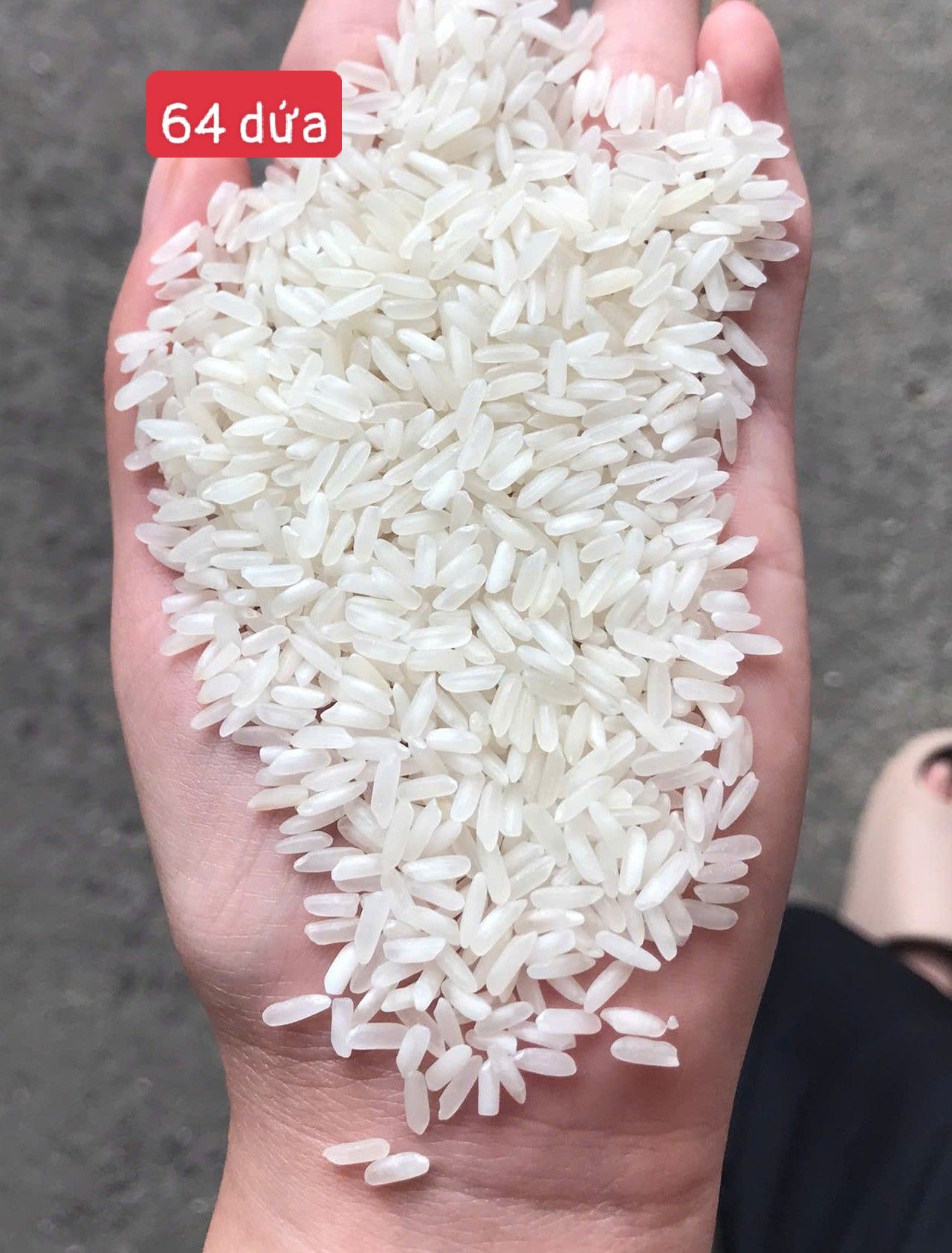 gạo 64 thơm dứa TP.HCM
