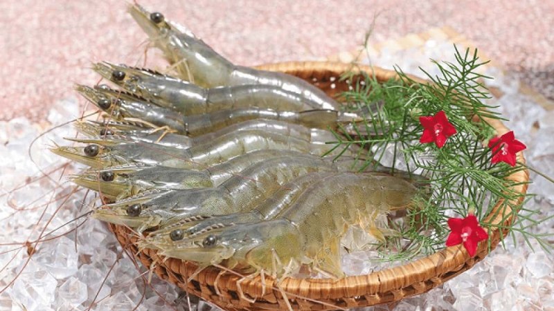 Bảng giá tôm thẻ tại Kiên Giang